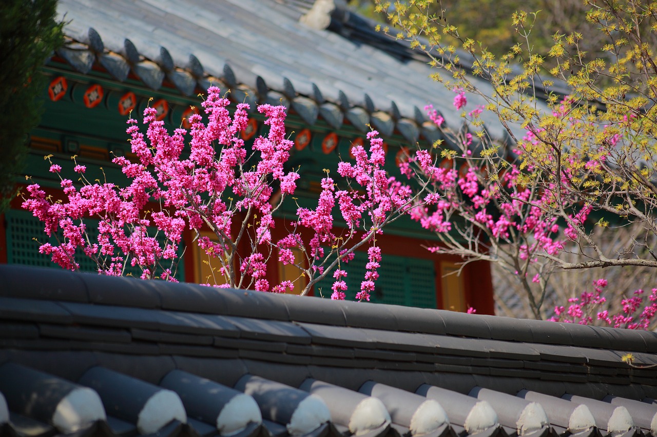 Korea's Dano Festival - A Celebration of Health and Happiness